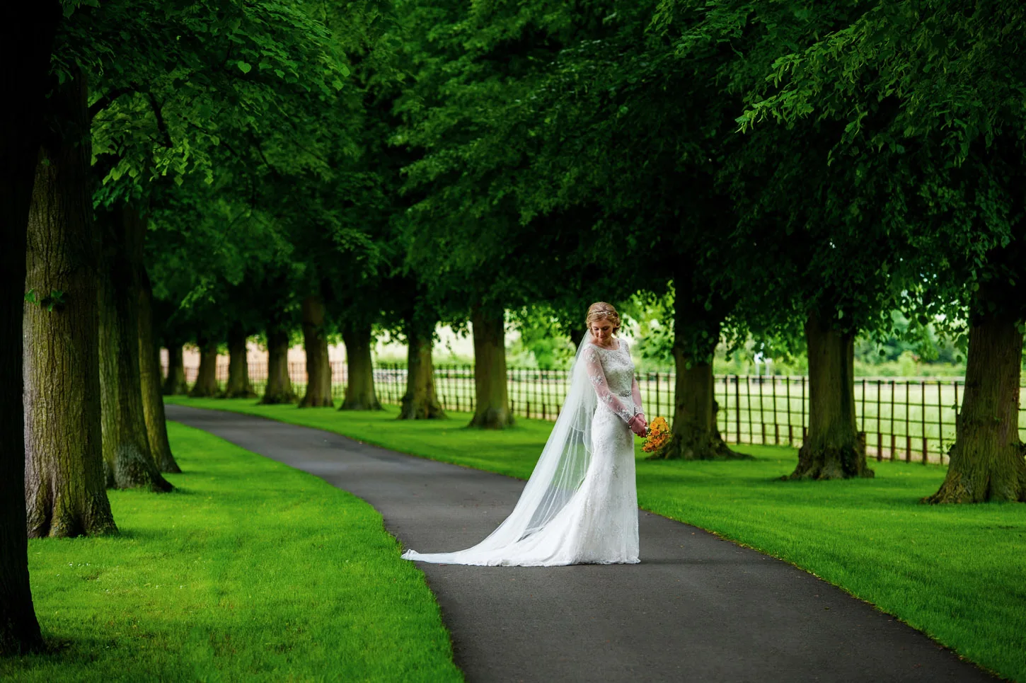 Bride beneath an avenue of trees